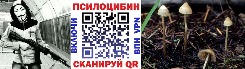 Галлюциногенные грибы мицелий хочу наркоту МЕГА зеркало Буй